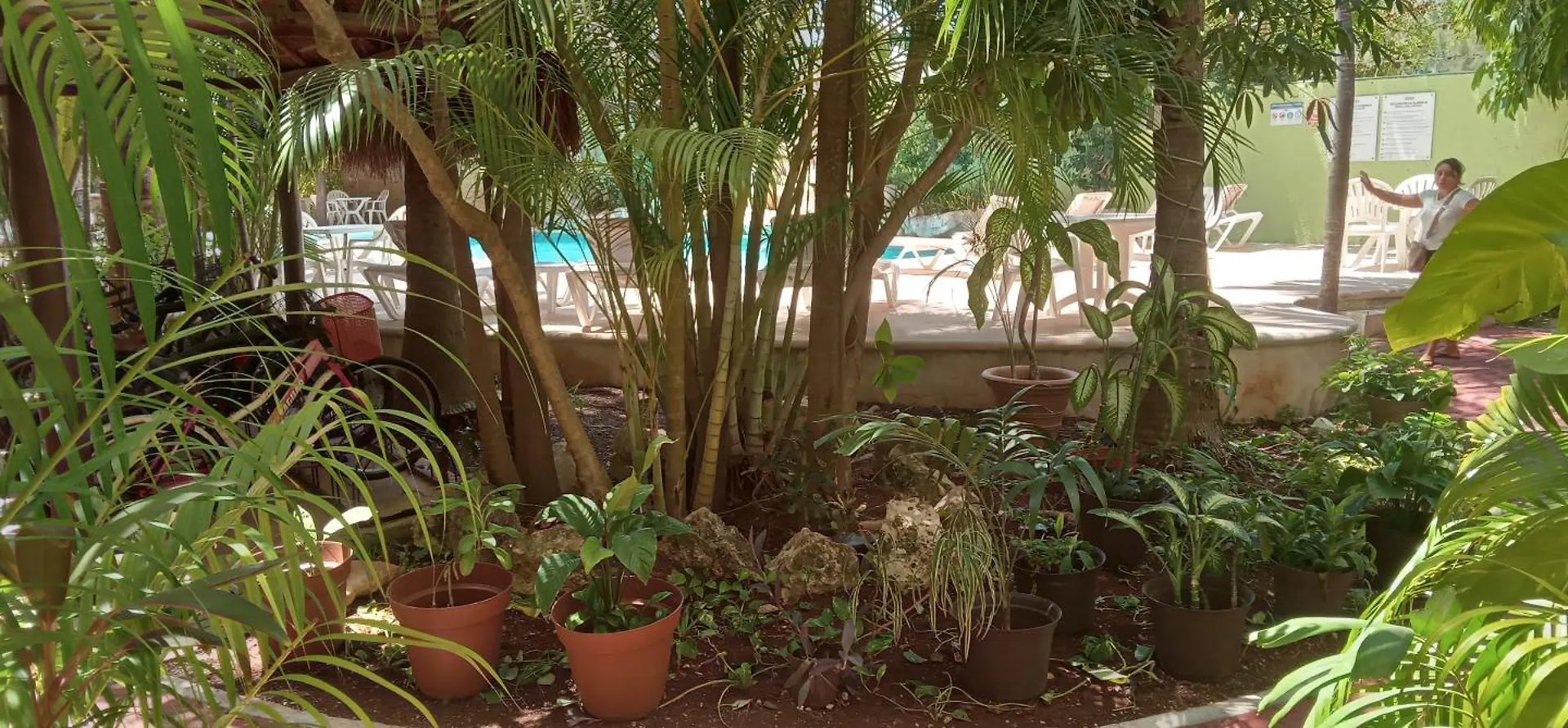 Casa Flamingos Villa Playa del Carmen